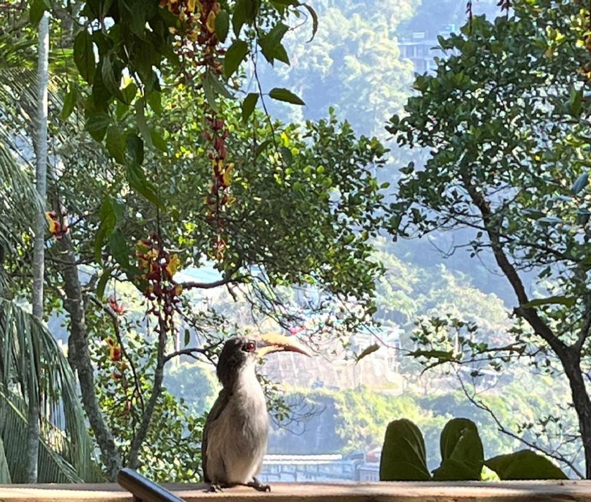 Ella Rawana Resort ภายนอก รูปภาพ